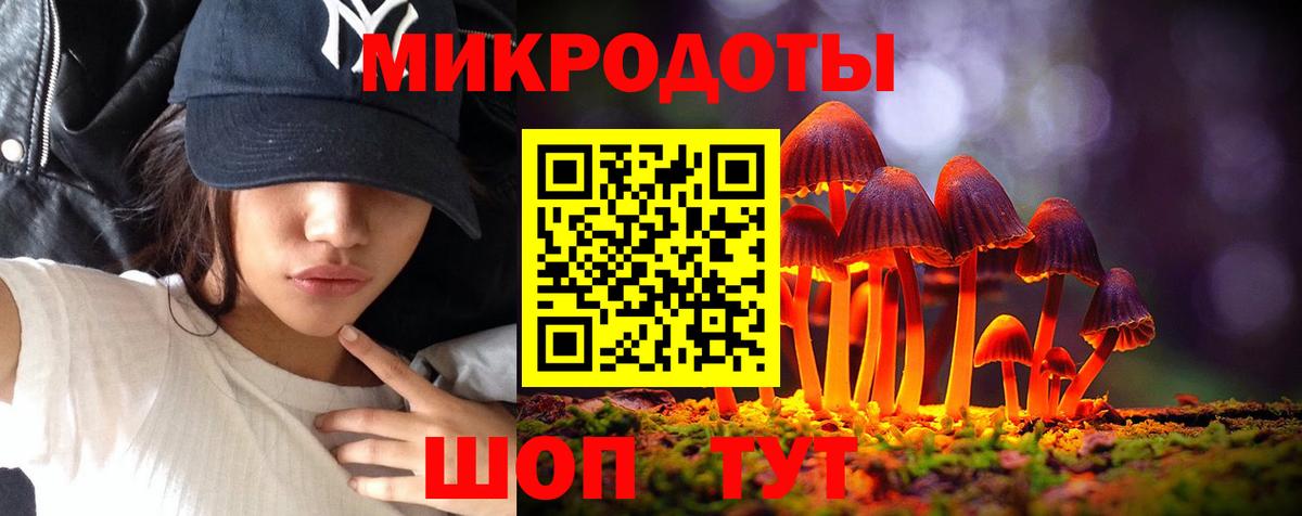 Галлюциногенные грибы Psilocybe  Вход с VPN  Новомосковск 